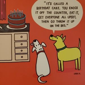 Meet your Posher, Jill